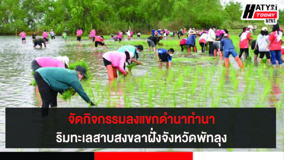 ปกข่าว 01