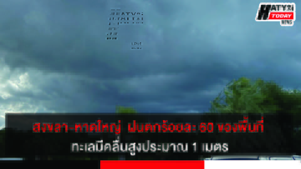 ปกข่าว 01
