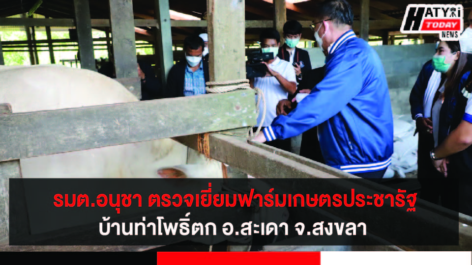 ปกข่าว 01