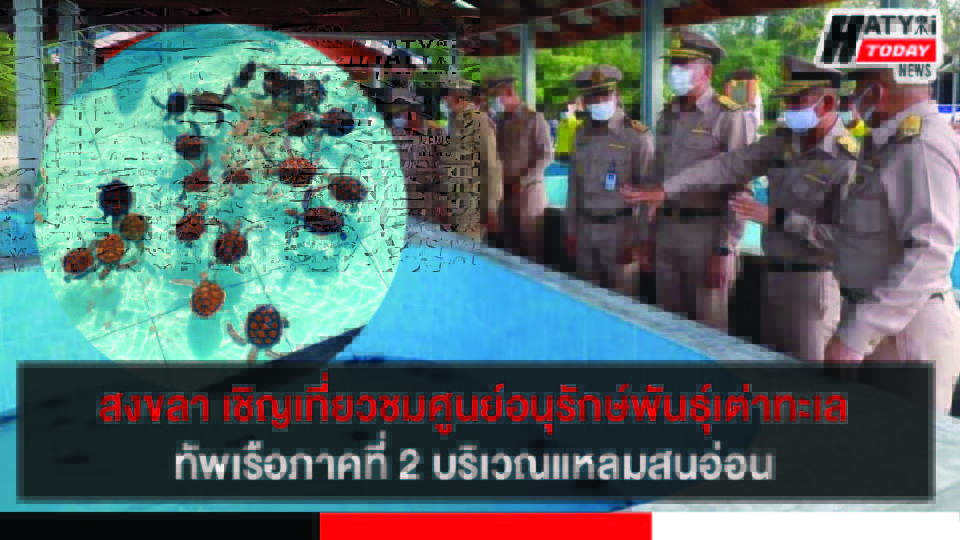 ปกข่าว 01