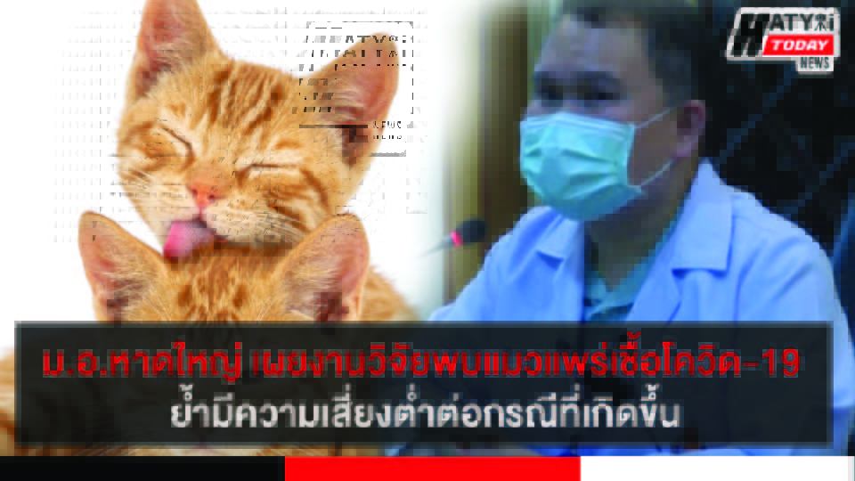 ปกข่าว 01