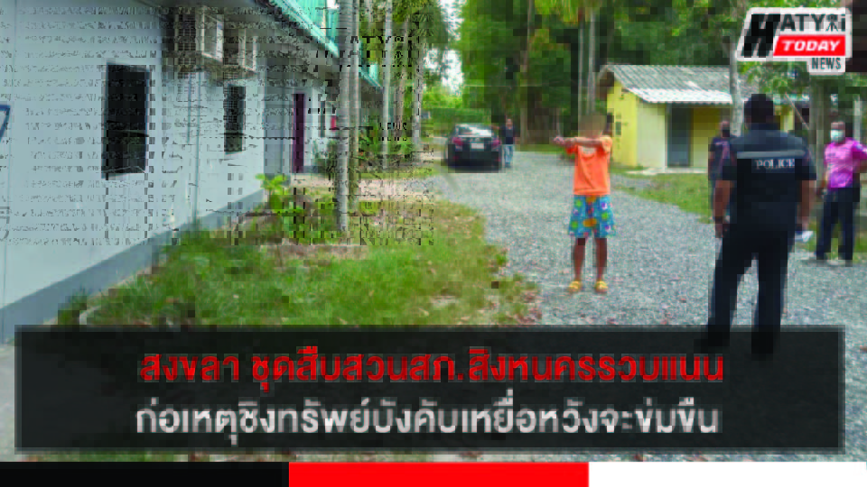 ปกข่าว 01