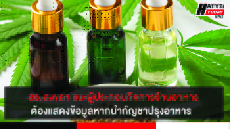 ปกข่าว 01