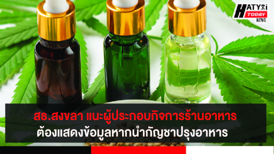 ปกข่าว 01