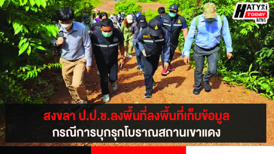 ปกข่าว 01