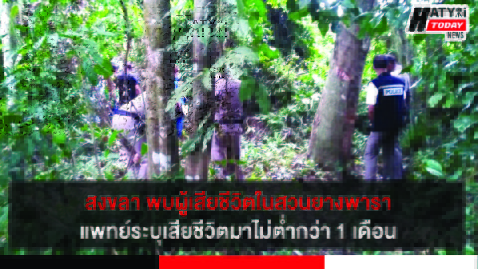 ปกข่าว 01