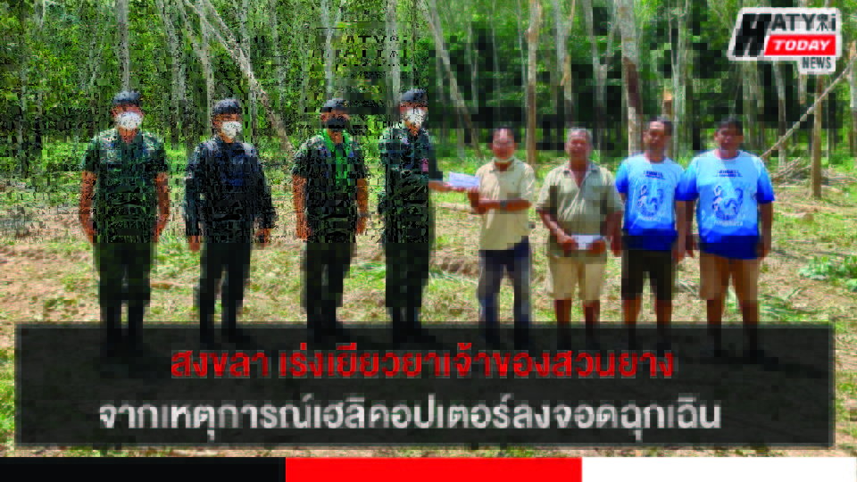 ปกข่าว 01