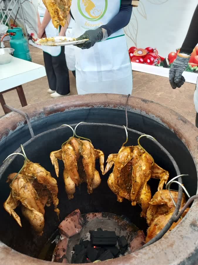 สงขลานครินทร์ เปิดตัวไก่เบขลา ลดเวลาการเลี้ยงจาก 6 เดือนเหลือ 3.5 เดือน ในเทศกาลไก่เบขลา 2 51042c21507bab2de21c2e7e4df05747 Small