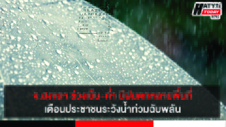ปกข่าว 01