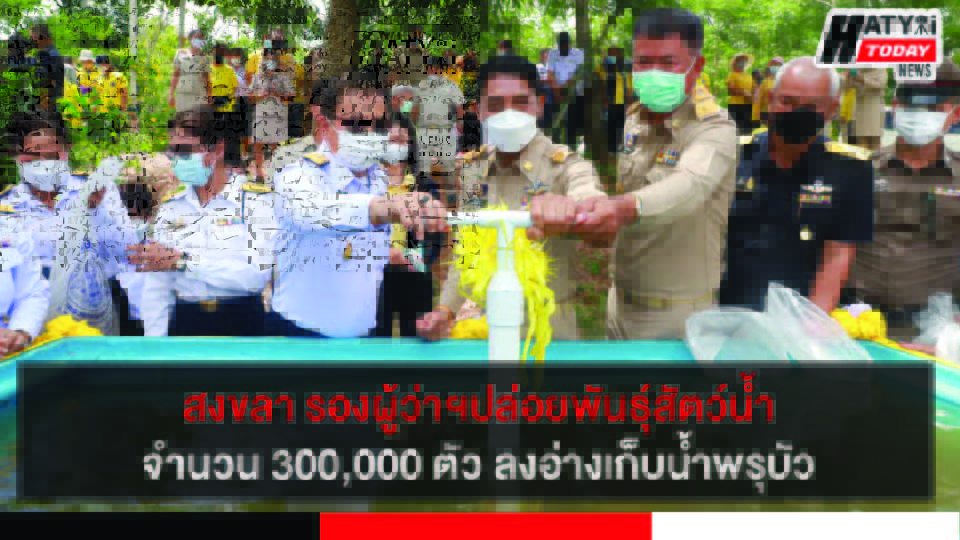 ปกข่าว 01