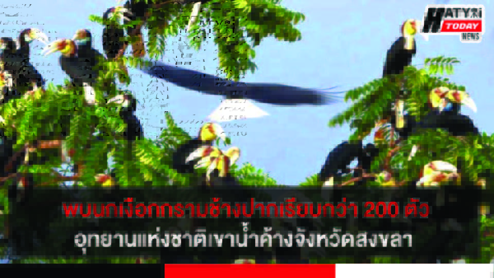 ปกข่าว 01