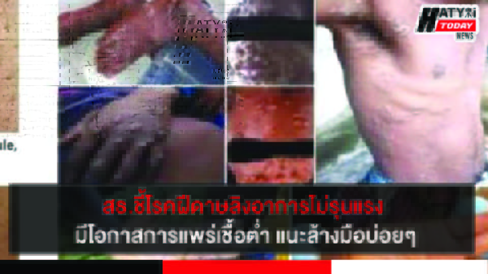 ปกข่าว 01
