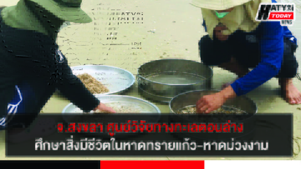 ปกข่าว 01