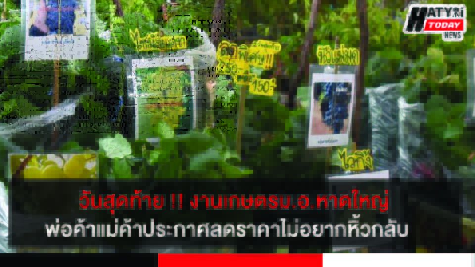 ปกข่าว 01