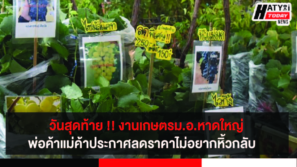 ปกข่าว 01