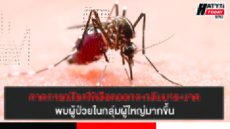 ปกข่าว 01