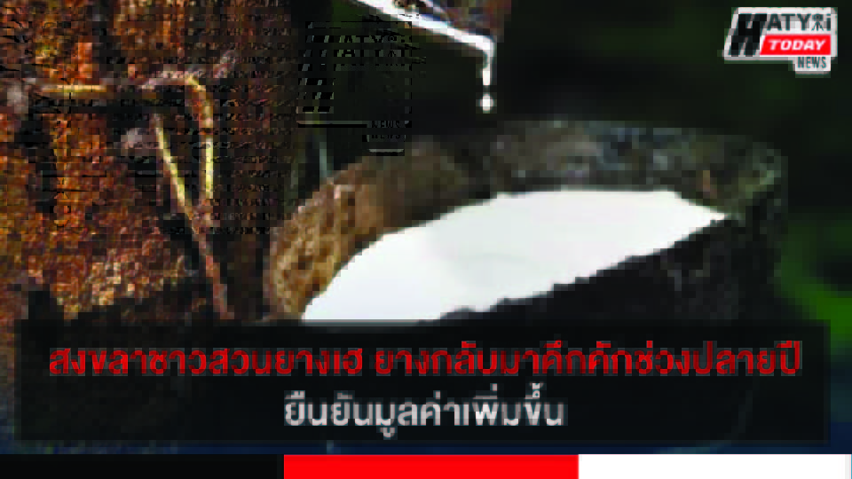 ปกข่าว 01