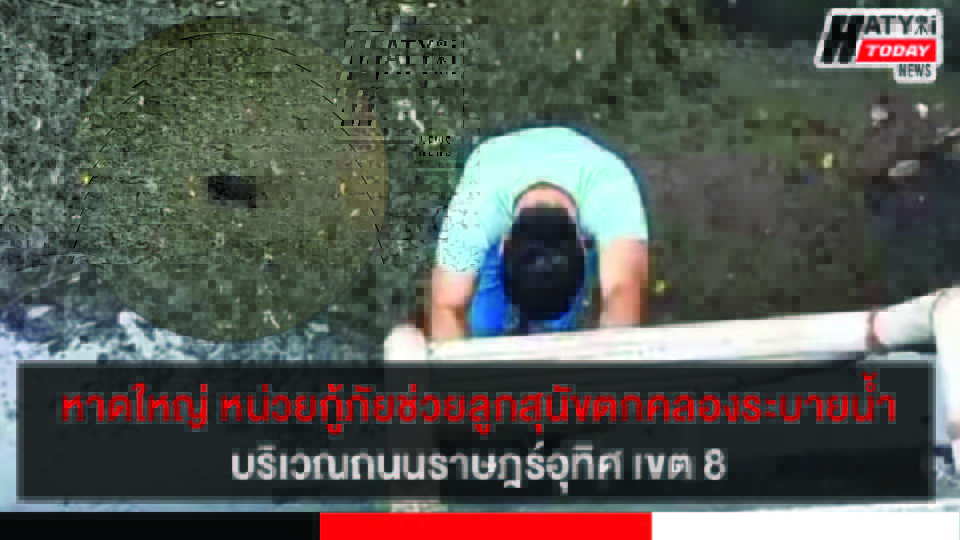 ปกข่าว 01