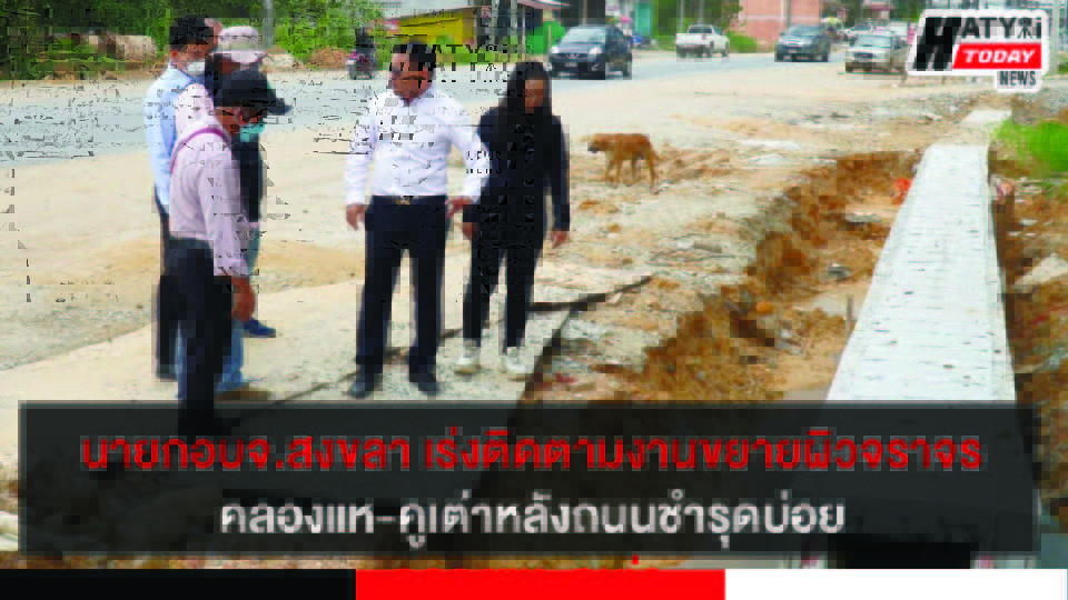 ปกข่าว 01