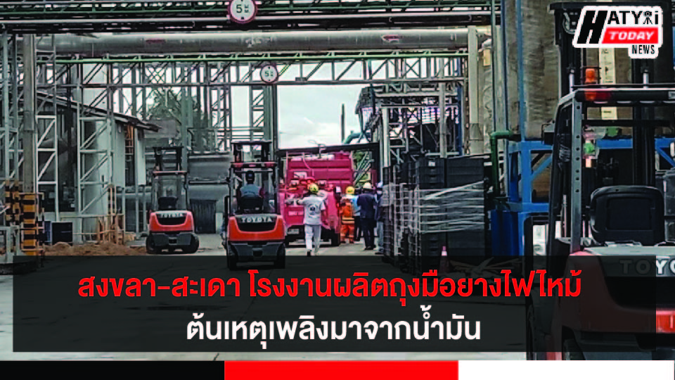 ปกข่าว 01