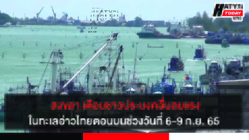 ปกข่าว 01