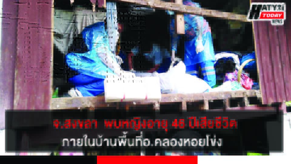 ปกข่าว 01