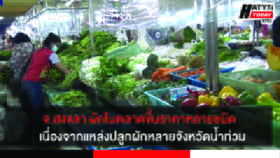 ปกข่าว 01
