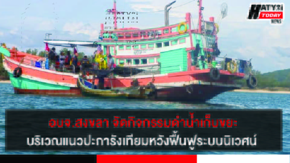 ปกข่าว 01