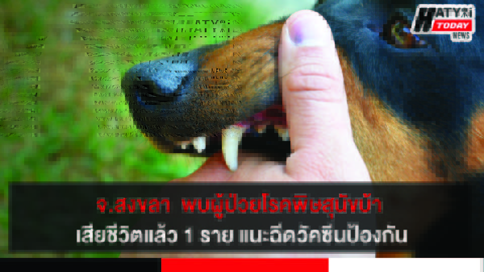 จ.สงขลา  พบผู้ป่วยโรคพิษสุนัขบ้าเสียชีวิตแล้ว 1 ราย แนะฉีดวัคซีนป้องกัน