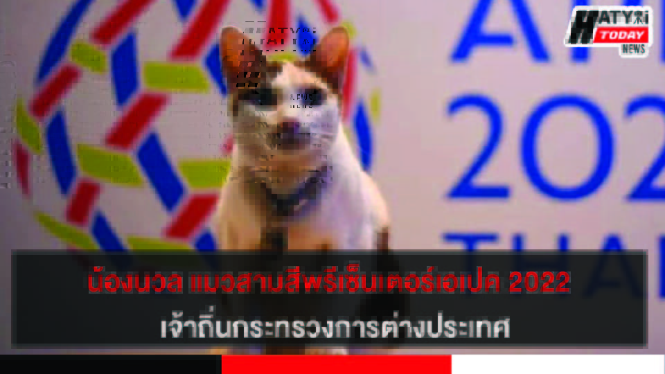 น้องนวล แมวสามสี พรีเซ็นเตอร์เอเปค 2022 เจ้าถิ่นกระทรวงการต่างประเทศ