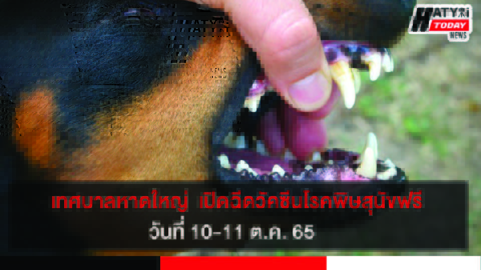 ปกข่าว 01