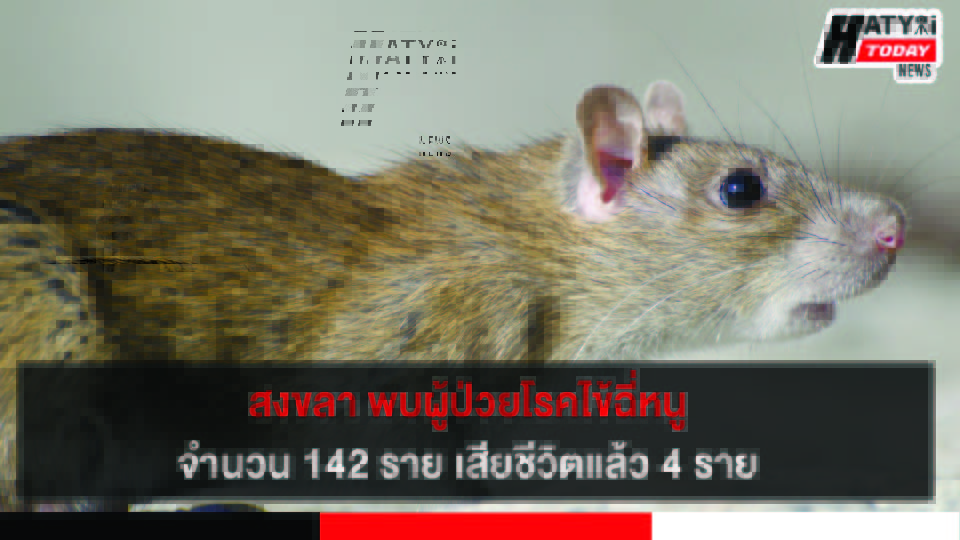 ปกข่าว 01