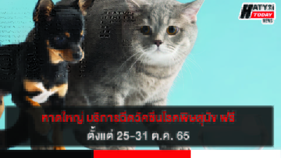 ปกข่าว 01