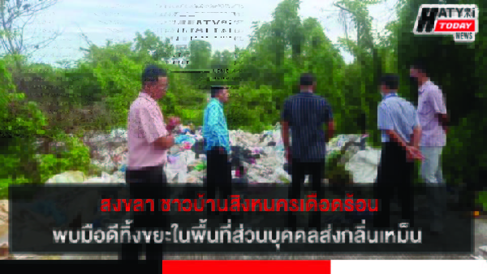 ปกข่าว 01