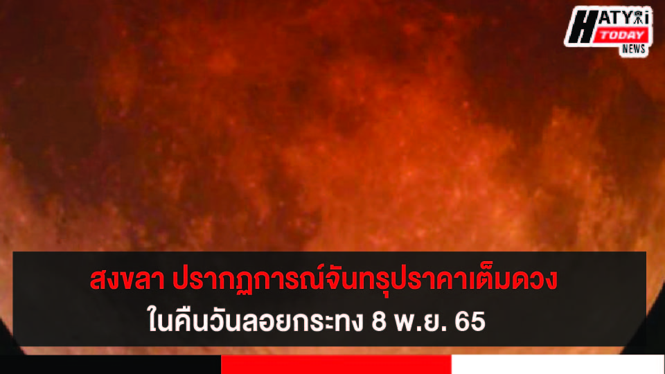 ปกข่าว 01