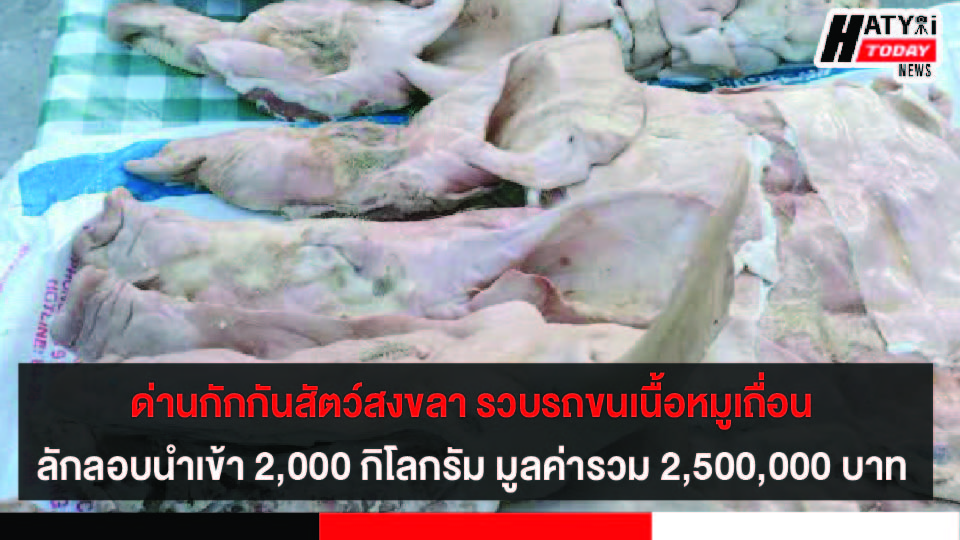 ด่านกักกันสัตว์สงขลา รวบรถขนเนื้อหมูเถื่อน คาดลักลอบนำเข้า 2,000 กิโลกรัม มูลค่ารวม 2,500,000 บาท