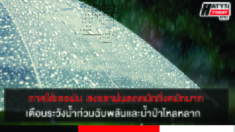 ปกข่าว 01