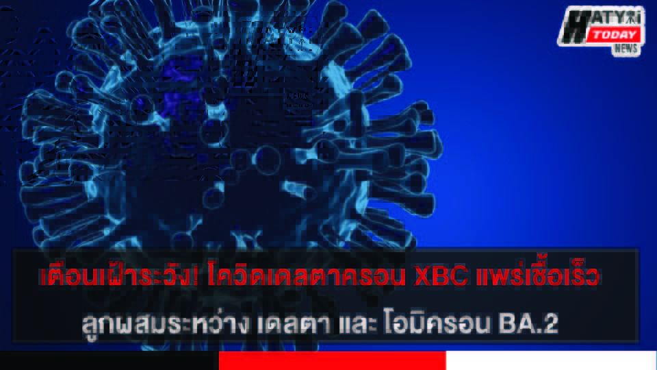 ปกข่าว 01