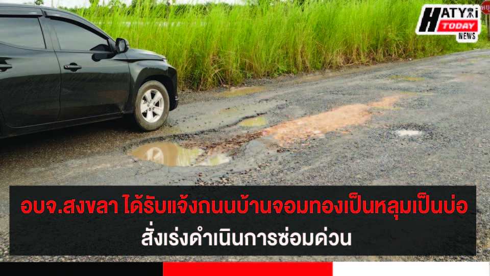 ปกข่าว 01