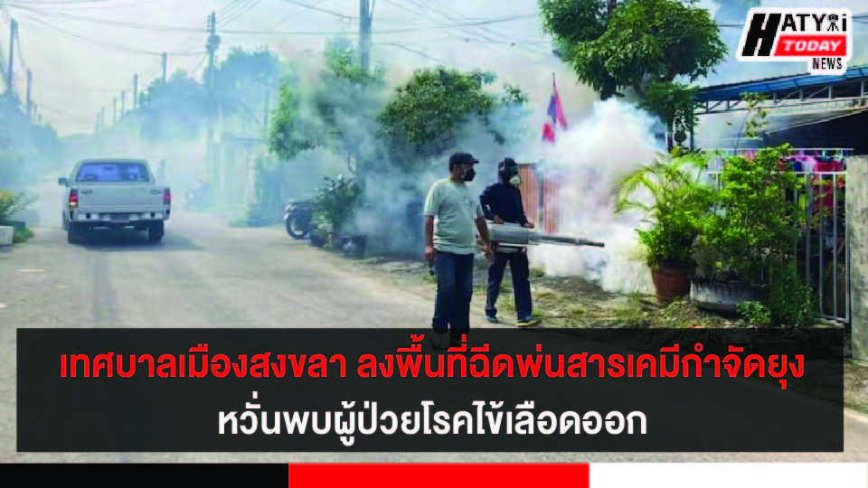 ปกข่าว 01