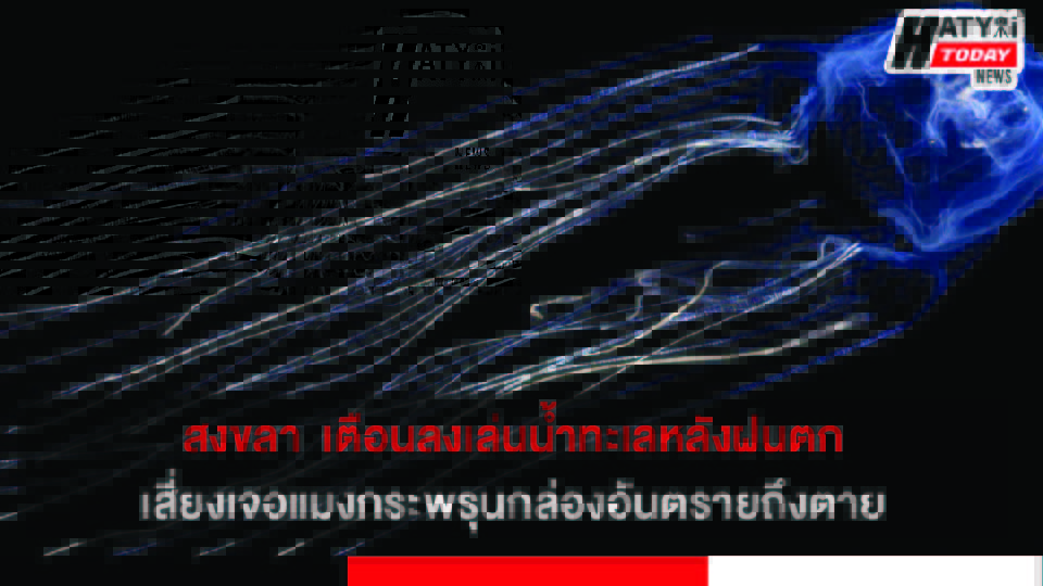 สงขลา กรมควบคุมโรค เตือนลงเล่นน้ำทะเลหลังฝนตก เสี่ยงเจอแมงกระพรุนกล่องอันตรายถึงตาย