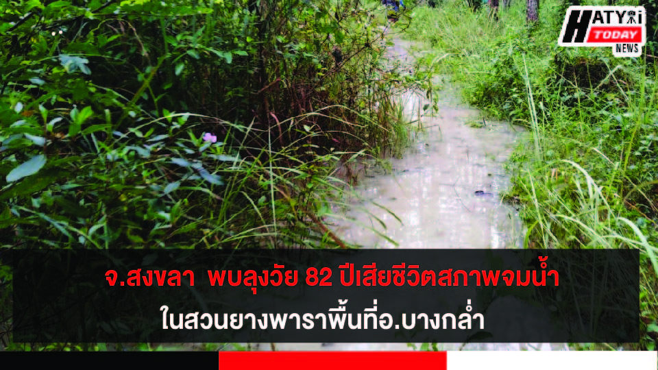 ปกข่าว 01