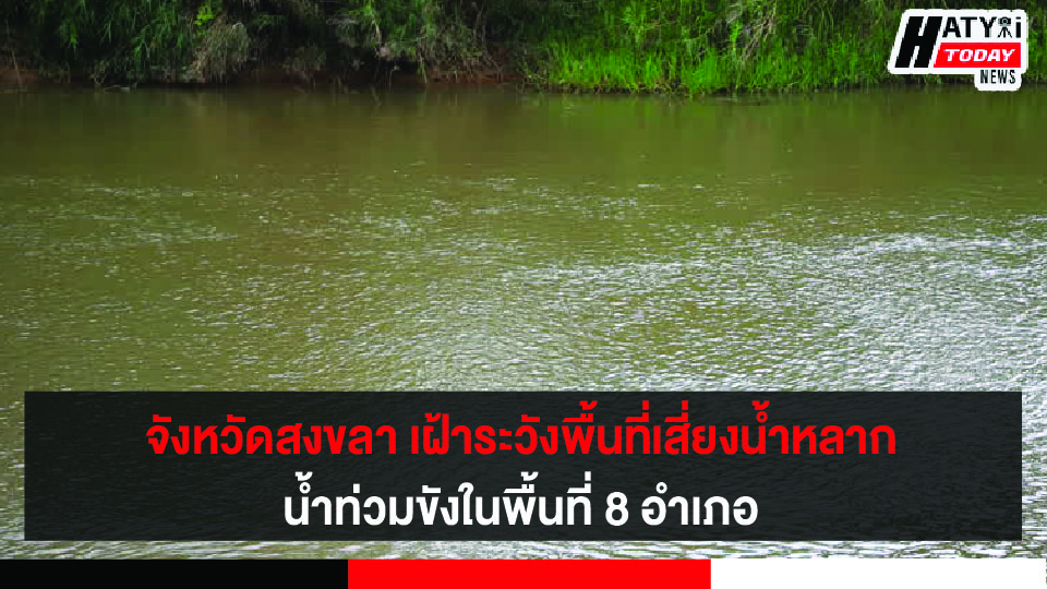 ปกข่าว 01