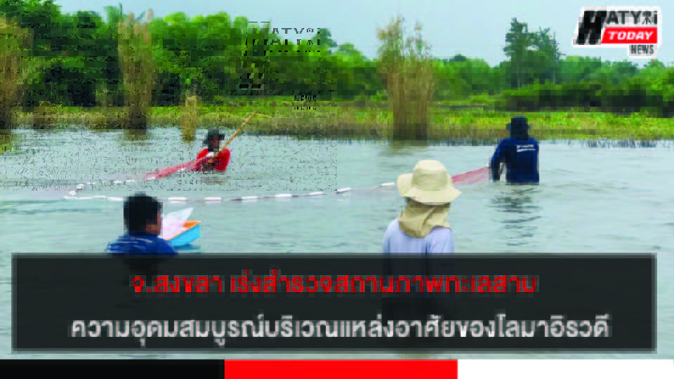 สงขลา กรมทะเลชายฝั่ง สำรวจสถานภาพทะเลสาบ บริเวณแหล่งอาศัยของโลมาอิรวดี