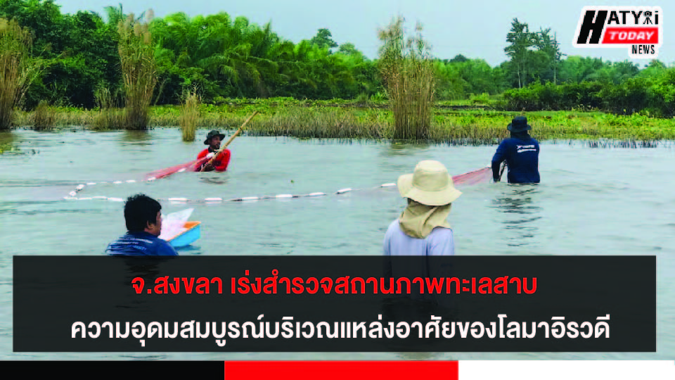 สงขลา กรมทะเลชายฝั่ง สำรวจสถานภาพทะเลสาบ บริเวณแหล่งอาศัยของโลมาอิรวดี