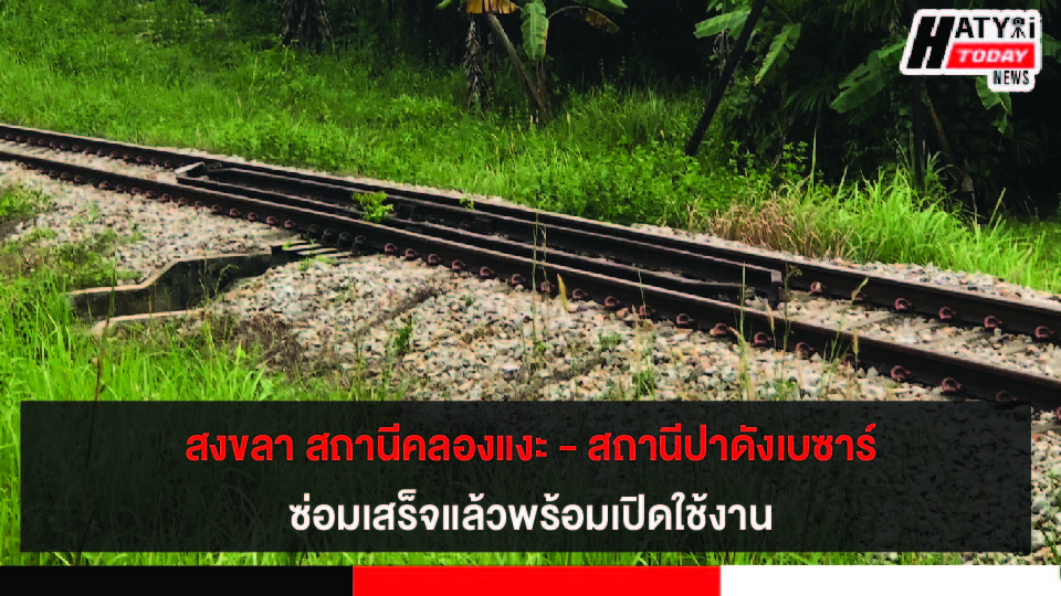 ปกข่าว 01