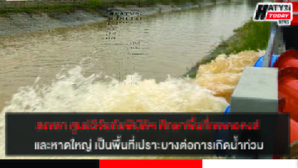 ปกข่าว 01