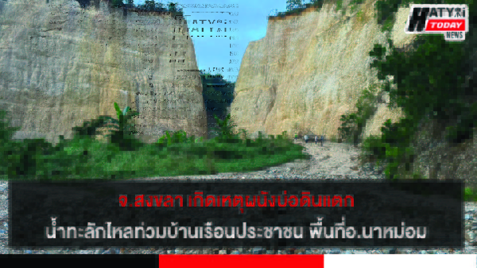 ปกข่าว 01