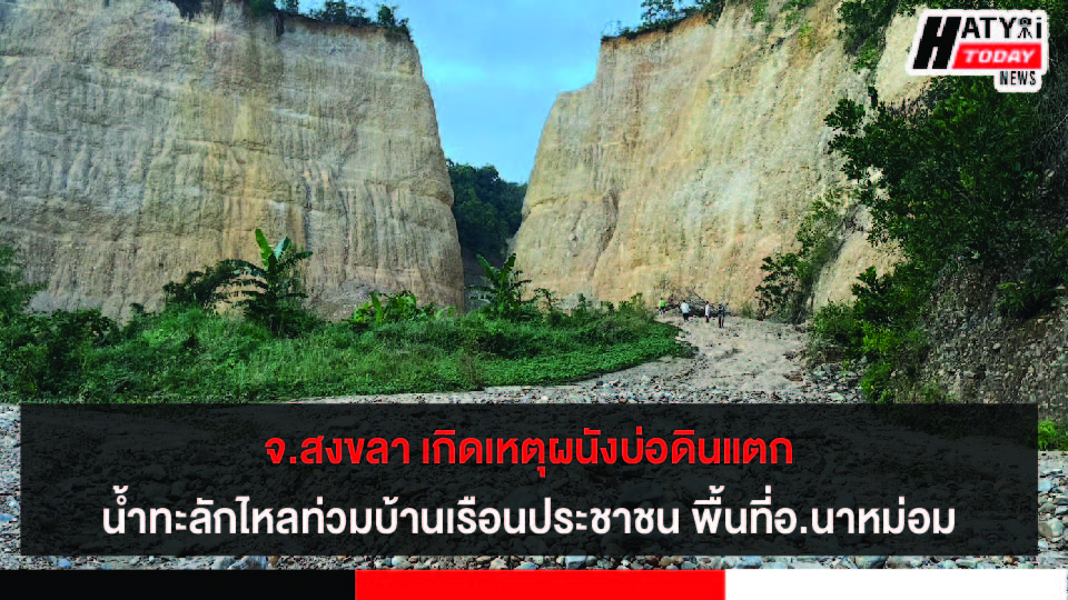 ปกข่าว 01