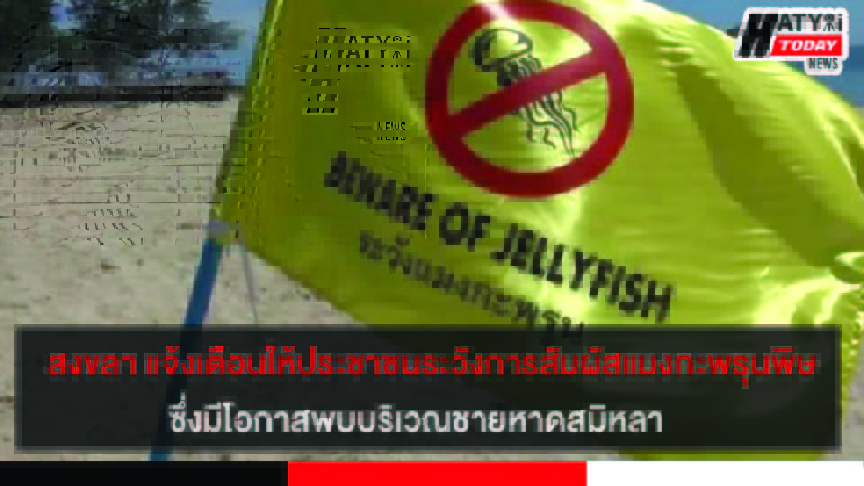 สงขลา แจ้งเตือนให้ประชาชนระวังการสัมผัสแมงกะพรุนพิษ ซึ่งมีโอกาสพบบริเวณชายหาดสมิหลา
